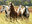 happyhorses19
