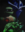 TMNTiluvpizza