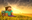 MinecraftGal