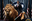 MrPokemon