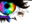 dcoon223