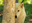 MarloMercy