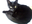 DJJellybean