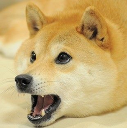 EpicWolf