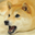 EpicWolf