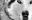 Gracepixie_user-203u