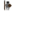 Truoris