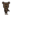 bas