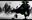TSM-Wildturtle