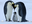 Penguinxoxoxo