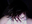 ADeadBlindKid