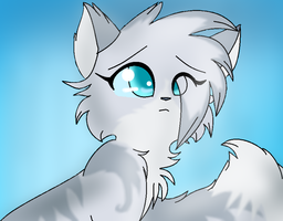 awesomecat505