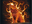 PhoenixWolf180