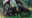 pixie_user-357