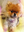 skippyjoe55