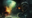 Draftiesttree4