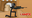 SteamGamer1231