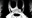 WD_Gaster