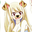 KawaiiPrincesa