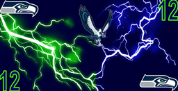 SeattleSeahawks