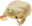 zhecka2314