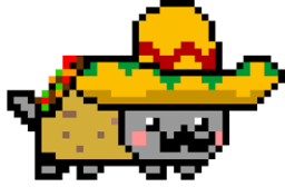 PIXELs