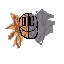 kbaugus