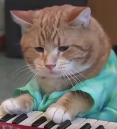 keyboardcat2010