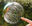 Bubbles