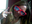 NicoleWheeler02
