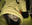 P0k3monW0lf