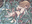 werner_werner804