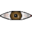 jefcarvalho_522