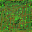 Sprite #101717