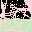 Sprite #107117