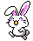 HAPPY HOPPY BUNNY