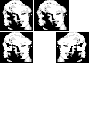 Sprite #111271