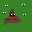 cute poo