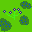 forget-me-not and blue berries