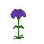 Sprite #125365