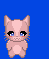 Cat #9