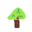 Apple Tree