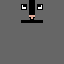Dale the Cat