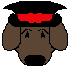 TopHat Pup