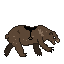 bear1