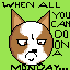 STUPID MONDAYS!