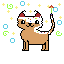 HAPPY BIRTHDAY CAT!