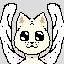 Winged kitten
