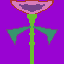 Flower for a friend