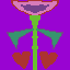 Same as previos flower